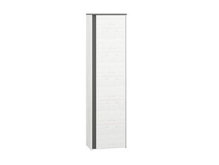 Шкаф Hyga 06, белый/серый цена и информация | Шкафы | pigu.lt