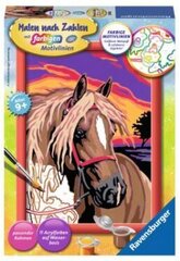 Kартины по номерам 
в рамке "Лошадь" 18x13, Li R 28028 цена и информация | Живопись по номерам | pigu.lt