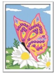 Kартины по номерам в рамке "Бабочка на цветке" 13х18 Li R 28474 цена и информация | Живопись по номерам | pigu.lt