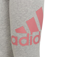 Sportiniai antblauzdžiai Adidas Essentials Tamsiai pilka kaina ir informacija | Kelnės mergaitėms | pigu.lt