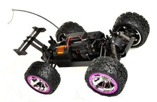 Радиоуправляемый внедорожник Land Buster Monster Truck RTR 2,4 ГГц Li-Ion 1200 мАч цена и информация | Игрушки для мальчиков | pigu.lt