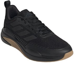 Обувь Adidas Trainer V Black GX0728 GX0728/10 цена и информация | Кроссовки мужские | pigu.lt