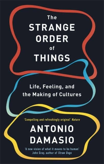 The Strange Order Of Things : Life, Feeling and the Making of Cultures kaina ir informacija | Enciklopedijos ir žinynai | pigu.lt