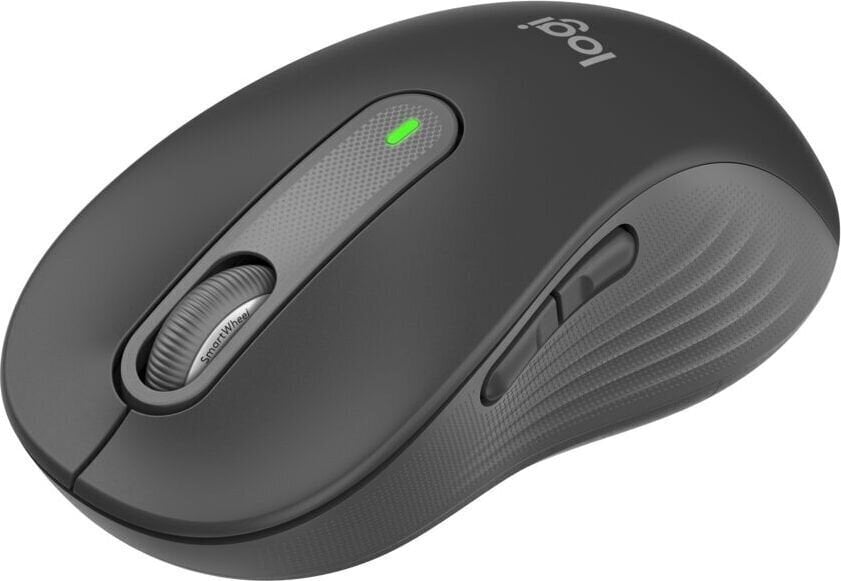 Logitech Signature M650 L, grafito spalvos цена и информация | Pelės | pigu.lt