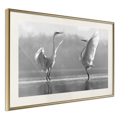 Plakatas Black and White Herons kaina ir informacija | Reprodukcijos, paveikslai | pigu.lt