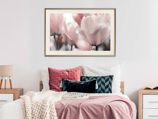 Plakatas Pastel Tulips kaina ir informacija | Reprodukcijos, paveikslai | pigu.lt