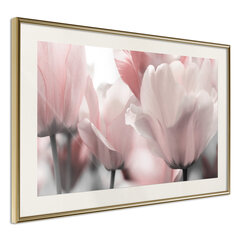 Plakatas Pastel Tulips kaina ir informacija | Reprodukcijos, paveikslai | pigu.lt