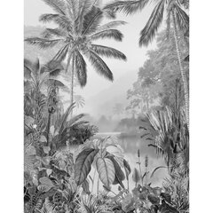 Fototapetai Komar Lac Tropical Black & White цена и информация | Фотообои с инструментом и клеем - Бежевые листья эвкалипта, 400x280 см | pigu.lt