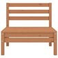 Vidurinė sodo sofos dalis, medaus rudos spalvos, pušies masyvas kaina ir informacija | Lauko kėdės, foteliai, pufai | pigu.lt
