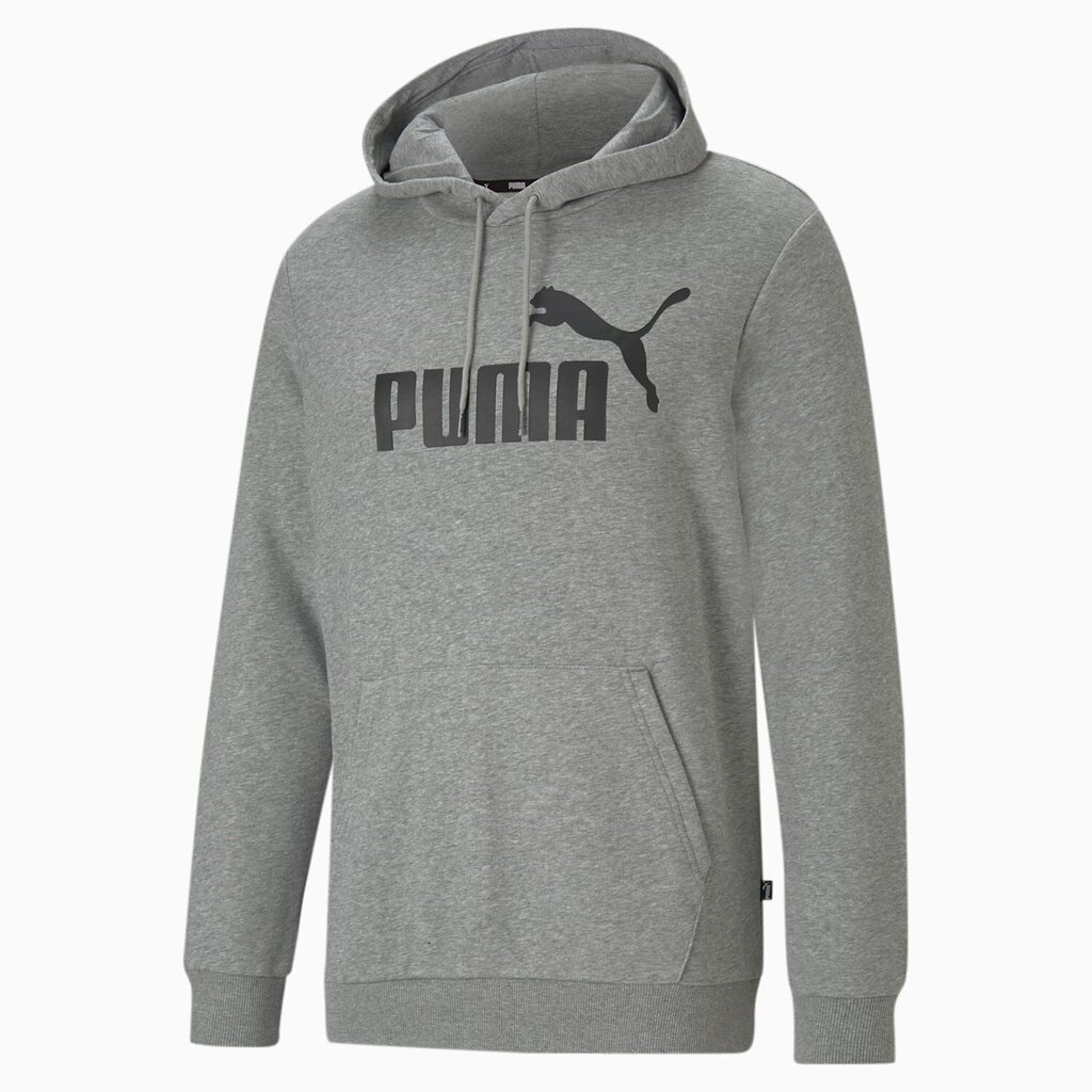 Vyriškas bluzonas Puma 586688*03, pilkas 4063697318571 kaina ir informacija | Sportinė apranga vyrams | pigu.lt
