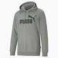 Vyriškas bluzonas Puma 586688*03, pilkas 4063697318571 kaina ir informacija | Sportinė apranga vyrams | pigu.lt