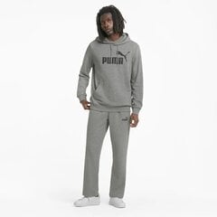 Мужская толстовка Puma 586688*03, серая 4063697318571 цена и информация | Мужские термобрюки, темно-синие, SMA61007 | pigu.lt