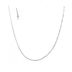 Серебряная цепочка SD1420 цена и информация | Украшения на шею | pigu.lt