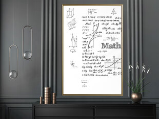 Плакат Math Formulas цена и информация | Репродукции, картины | pigu.lt