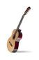 Klasikinės gitaros rinkinys Aiersi SC040 A 39" kaina ir informacija | Gitaros | pigu.lt