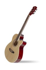 Akustinė gitara Aiersi SG027 C kaina ir informacija | Gitaros | pigu.lt