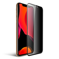 Grūdinto stiklo ekrano apsauga skirtas iPhone XR/11, PRIVACY kaina ir informacija | SoundBerryLife Mobilieji telefonai, Foto ir Video | pigu.lt