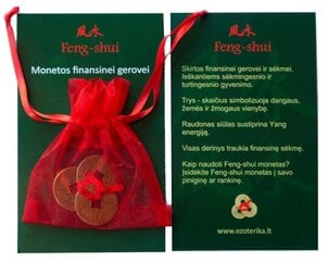 Feng shui monetos finansinei gerovei ir sėkmei цена и информация | Другие оригинальные подарки | pigu.lt