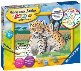 Tapyba pagal skaičius Ravensburger, 18X24 cm Leopardai, Li R28486 kaina ir informacija | Tapyba pagal skaičius | pigu.lt