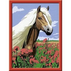 Картина по номерам Ravensburger, 18Х24см "Лошадь в маках", Li R28652 цена и информация | Набор для рисования по номерам | pigu.lt