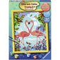 Tapyba pagal skaičius Ravensburger, 30X24cm Flamingo Love, Li R28901 kaina ir informacija | Tapyba pagal skaičius | pigu.lt