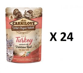 Carnilove консервы для кошек Turkey Valeriana, 24 х 85г цена и информация | Консервы для кошек | pigu.lt