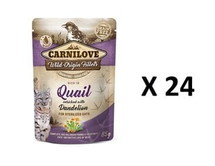 Консервы для кошек Carnilove с мясом перепелов и одуванчиками 24 X 85г цена и информация | Консервы для кошек | pigu.lt