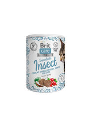 Brit Care Cat Snack SuperFruits Insect лакомства для кошек 100г цена и информация | Лакомства для кошек | pigu.lt