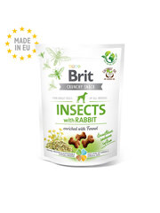 Brit Care Dog Crunchy Cracker Насекомые и кролики 200 гр. цена и информация | Лакомства для собак | pigu.lt