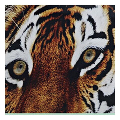 Картина Леопард цена и информация | Репродукции, картины | pigu.lt