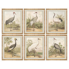 Полотно Птица 60 x 4 x 90 cm цена и информация | Репродукции, картины | pigu.lt