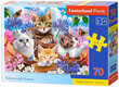Dėlionė Castorland Katės tarp gėlių, 70 detalių kaina ir informacija | Dėlionės (puzzle) | pigu.lt