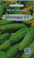 Agurkai Merengue F1 kaina ir informacija | Daržovių, uogų sėklos | pigu.lt