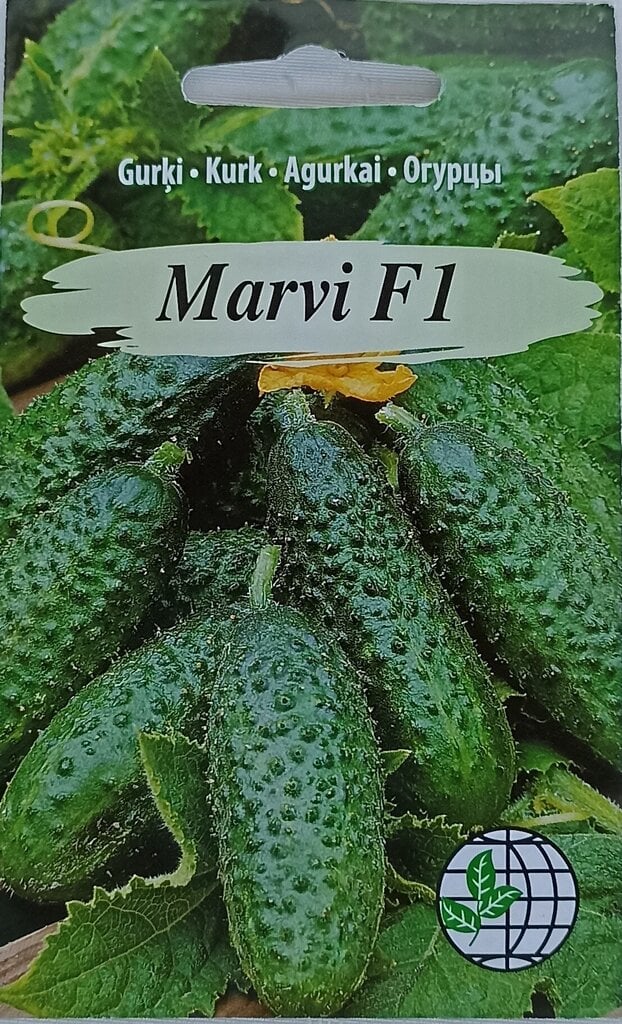 Agurkai Marvi F1 kaina ir informacija | Daržovių, uogų sėklos | pigu.lt