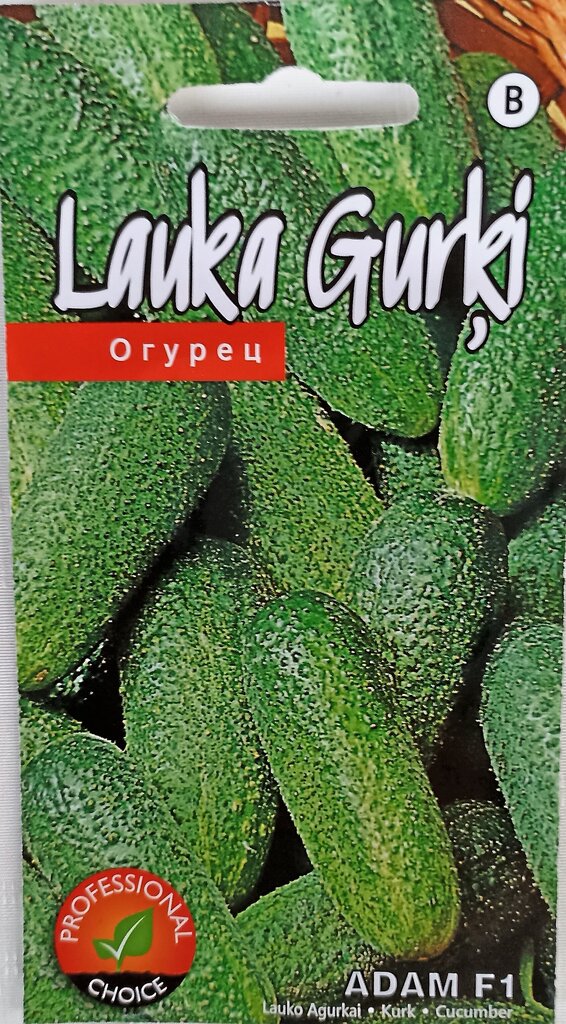 Lauko agurkai Adam F1 kaina ir informacija | Daržovių, uogų sėklos | pigu.lt