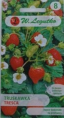 Клубника Tresca цена и информация | Семена овощей, ягод | pigu.lt