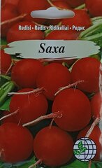 Редис Saxa, 2 шт цена и информация | Семена овощей, ягод | pigu.lt