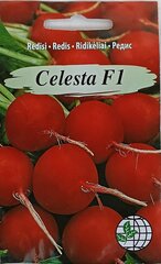 Редис Celesta F1, 2 шт цена и информация | Семена овощей, ягод | pigu.lt