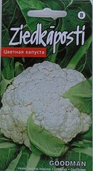 Žiedinis kopūstas Goodman kaina ir informacija | Daržovių, uogų sėklos | pigu.lt