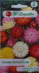 Helichrysum bracteatum, mišrus, 2 vnt kaina ir informacija | Gėlių sėklos | pigu.lt