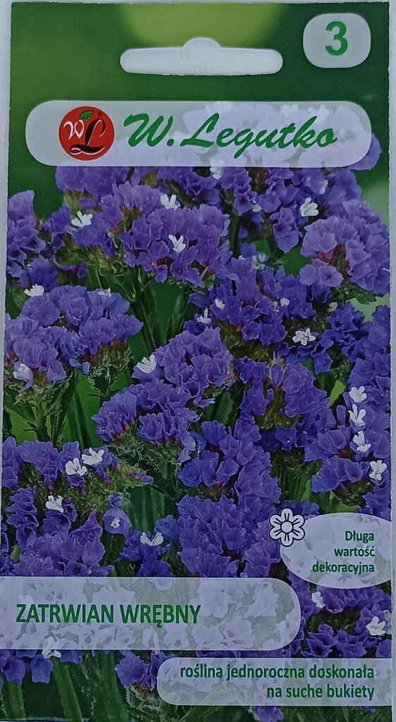 Statica, violetinės, 2 vnt цена и информация | Gėlių sėklos | pigu.lt