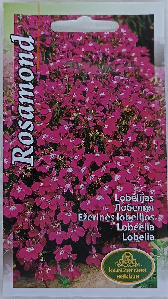 Lobelijos Rosamond, 2 vnt цена и информация | Gėlių sėklos | pigu.lt