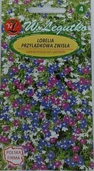 Лобелия свисающая цена и информация | Семена цветов | pigu.lt