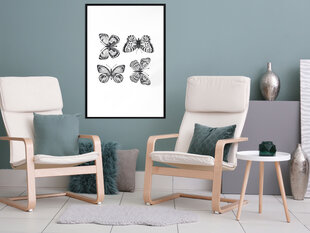 Plakatas Butterfly Collection, juodas rėmelis цена и информация | Репродукции, картины | pigu.lt