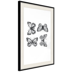 Plakatas Butterfly Collection, juodas rėmelis su pasportu цена и информация | Репродукции, картины | pigu.lt