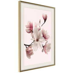 Plakatas Blooming Magnolias kaina ir informacija | Reprodukcijos, paveikslai | pigu.lt