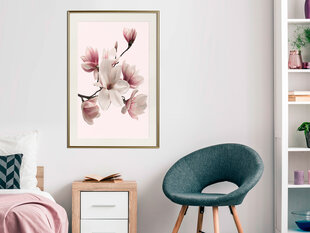 Plakatas Blooming Magnolias kaina ir informacija | Reprodukcijos, paveikslai | pigu.lt