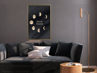 Plakatas In the Rhythm of the Moon kaina ir informacija | Reprodukcijos, paveikslai | pigu.lt
