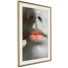 Плакат Ombre Lips цена и информация | Репродукции, картины | pigu.lt