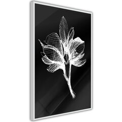 Plakatas White Plant, Baltas rėmelis, 40x60 kaina ir informacija | Reprodukcijos, paveikslai | pigu.lt
